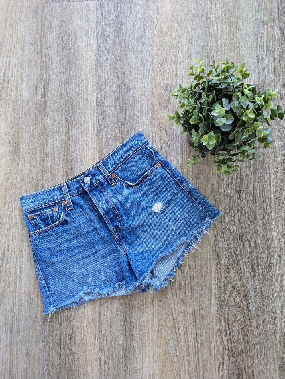 Levi's Denim Cutoff Shorts